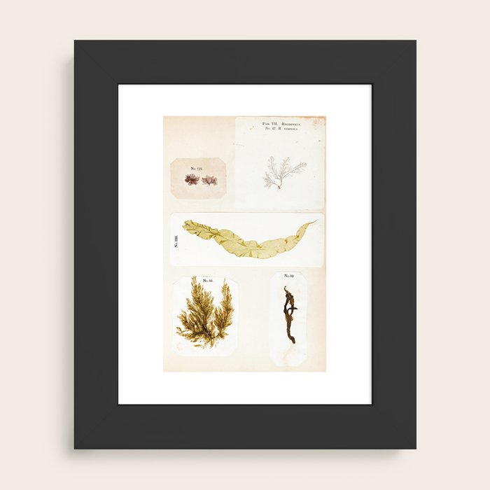Framed Art Print