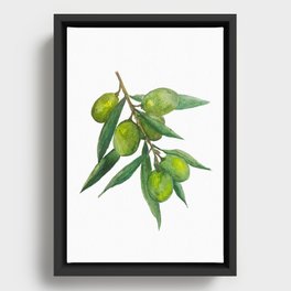 Watercolor Olive Branch Framed Canvas
