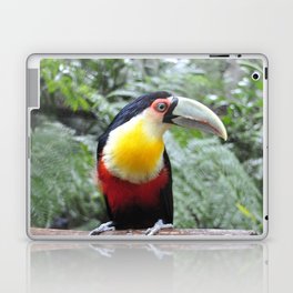 Brazil Photography - Colorful Toucan Sitting On A Branch In The Jungle Laptop Skin