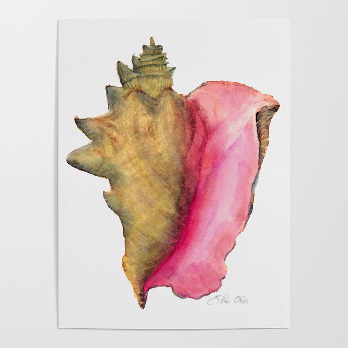 Conch Shell Poster