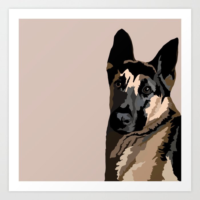 Fox hotsell shepherd dog