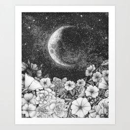 Moonlight in the Garden Art Print