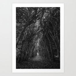 Art Picture Poster Photo Print 6TRE Haunted Forest 