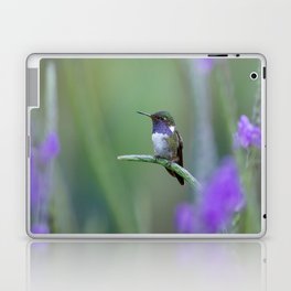 Volcano Hummingbird in Costa Rica Laptop & iPad Skin