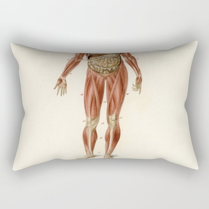 Mythology and Disposition of the Viscera Rectangular Pillow