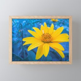 Yellow flower on a blue background Framed Mini Art Print