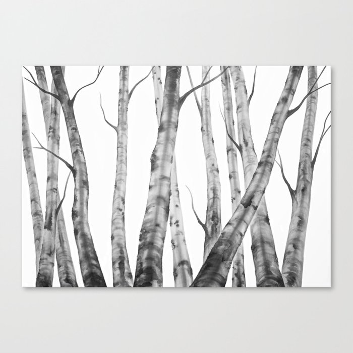 Birch Tree Watercolour Painting Black And White Black And