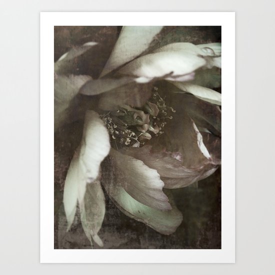 softly Art Print