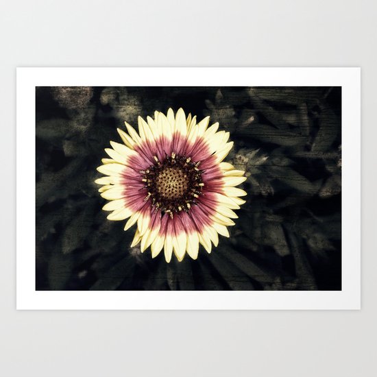 Flower Art Art Print