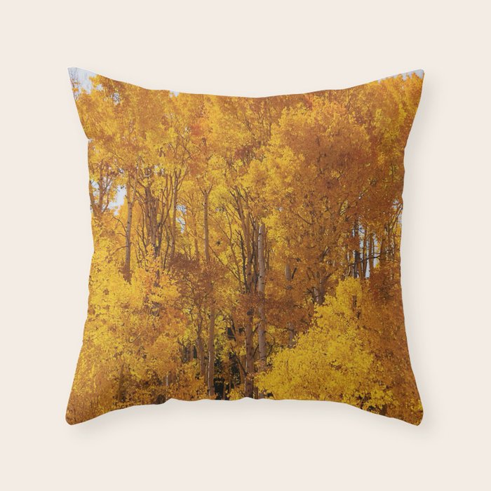 Throw Pillow