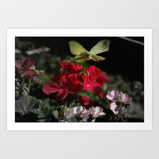 Landing Pad Art Print
