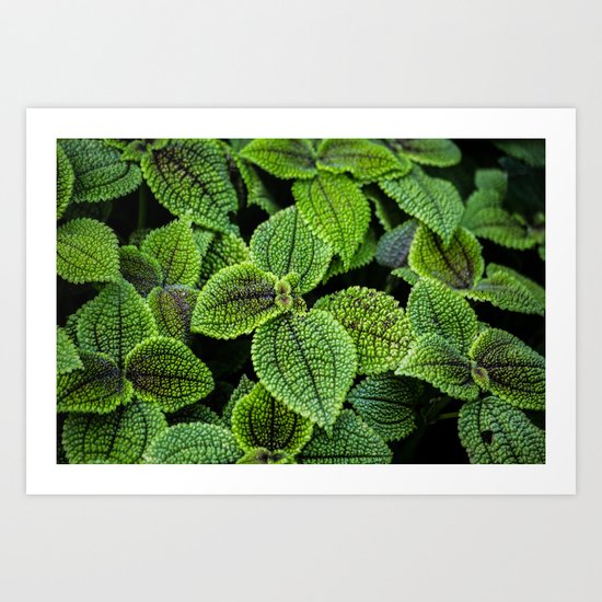 Just Green Art Print