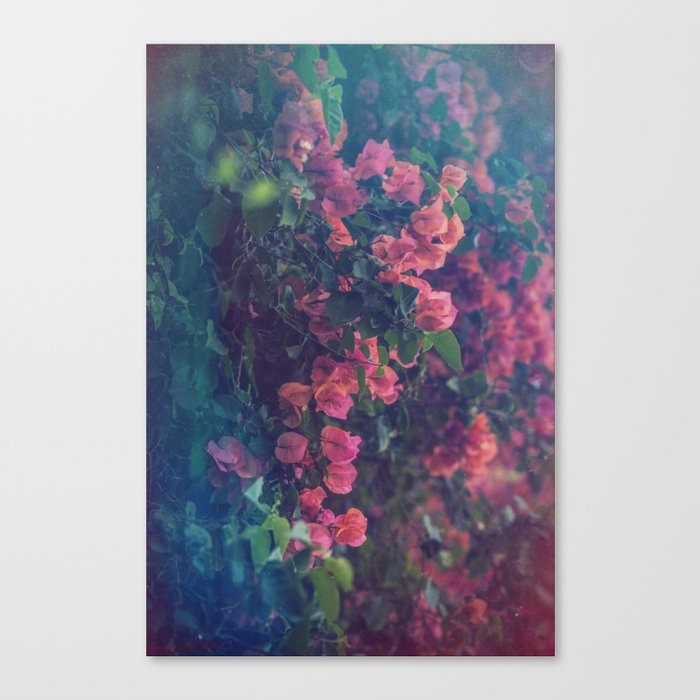 Flower Falls. Canvas Print