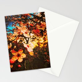 Springtime Blossoms Stationery Card