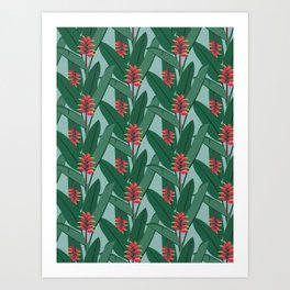 Heliconia bloom Art Print