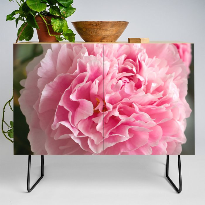 Peony on the kitchen table Credenza