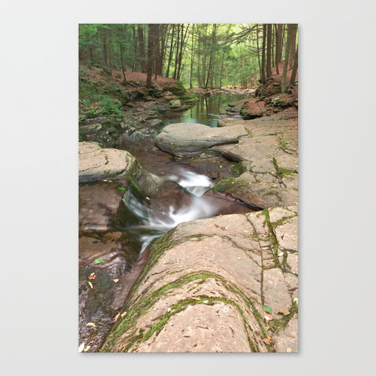 Worlds End Forest Stream Canvas Print