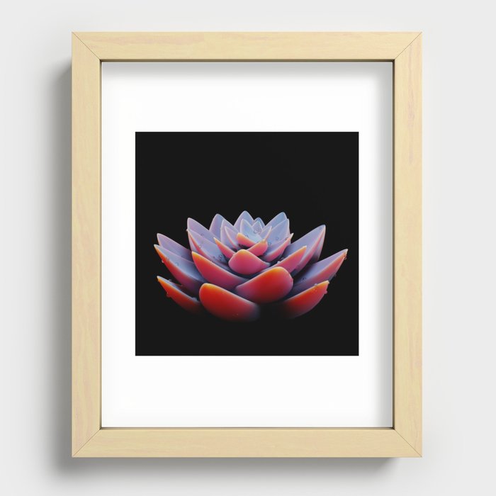 lotus Recessed Framed Print