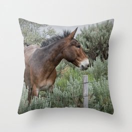 Mule in Wyoming Throw Pillow