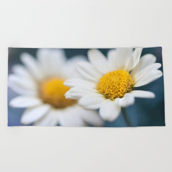 Spring Love #2 - White Marguerite Daisy Flower #decor #art #society6 Beach Towel