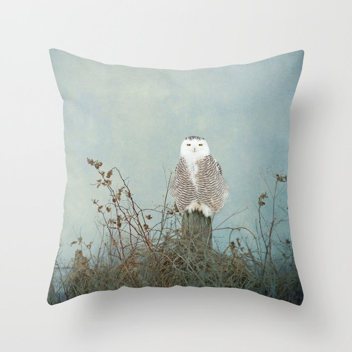 You Are Too Beautiful Throw Pillow