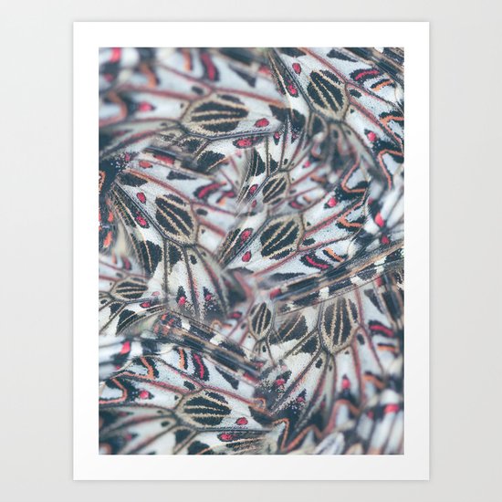 Butterflies Print Art Print