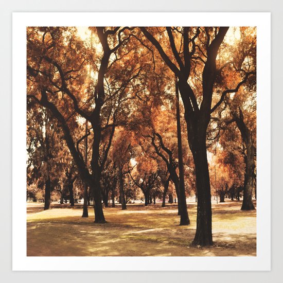 Through The Trees Art Print