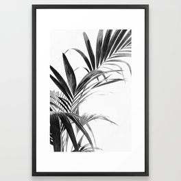 Palm Leaves Black and White 03