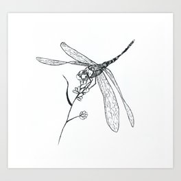 Dragonfly quick sketch Art Print