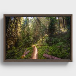 The Unexplored Trail of Possibilities  Framed Canvas