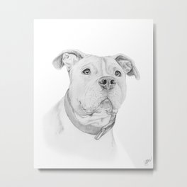 A Pit Bull :: Misunderstood Metal Print | Greygraypitdog, Pitbull, Dogsketchart, Nature, Graphite, Pitbulldoggift, Ripdntorn, Animal, Pitbullpittie, Pencildogart 