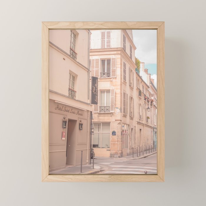 Framed Mini Art Print