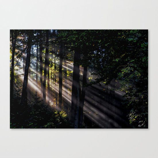 Pathless Woods #spring #forest Canvas Print
