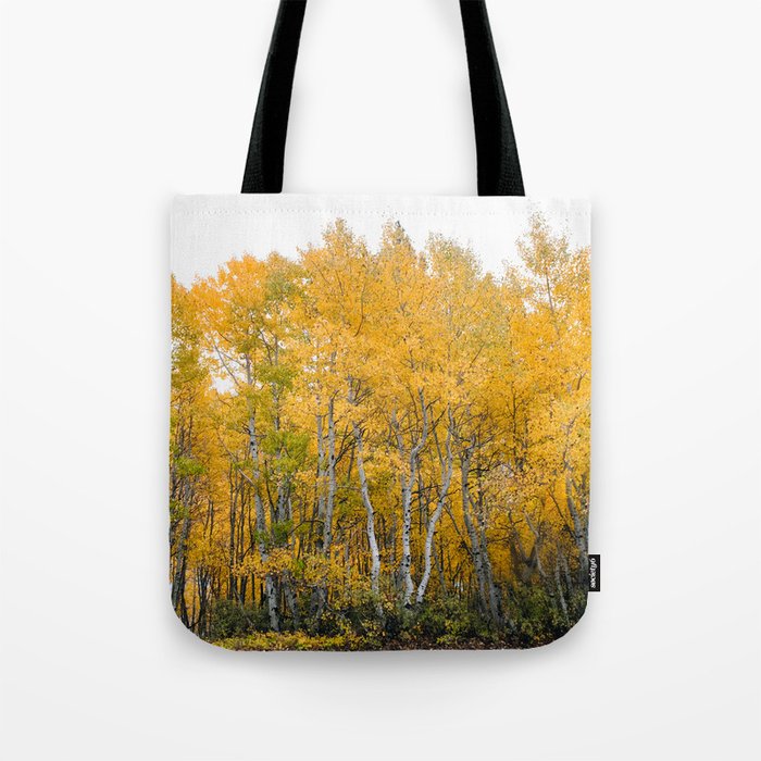 Fall Color in the Sierras Tote Bag