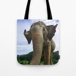 Elephant in Northern Thailand Tote Bag