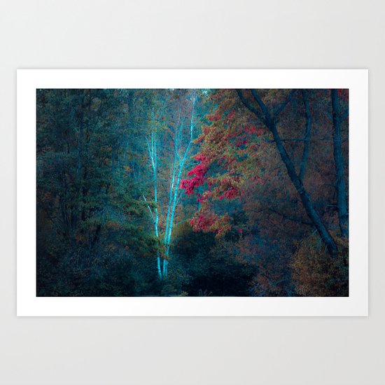 It's Been A Lifetime Art Print