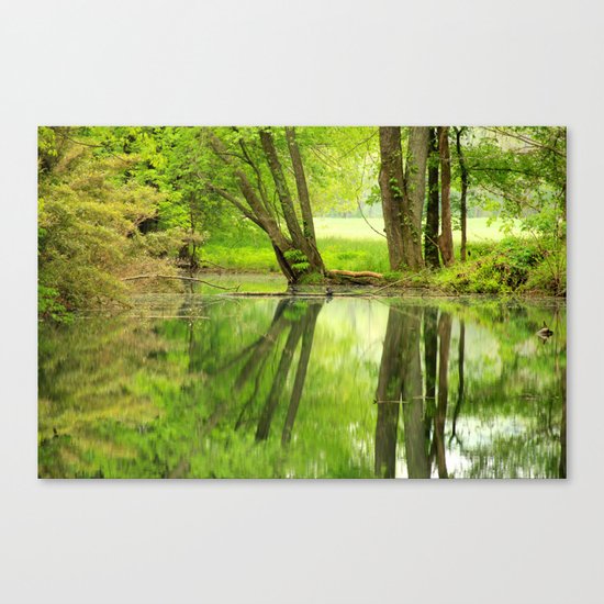 Spring Reflections Canvas Print