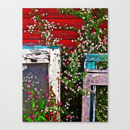 Window Flowers Canvas Print