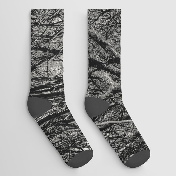 Dark Woods Socks