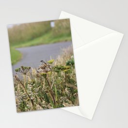 Crowned Sparrow Stationery Card