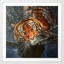 Tiger Shadow Art Print
