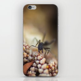 Ant first person iPhone Skin