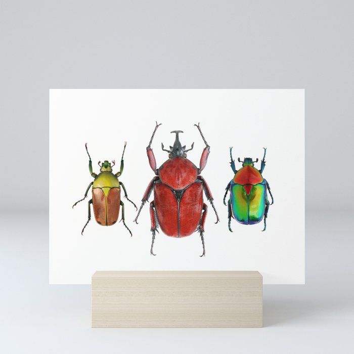 Three Rare Beetles Mini Art Print