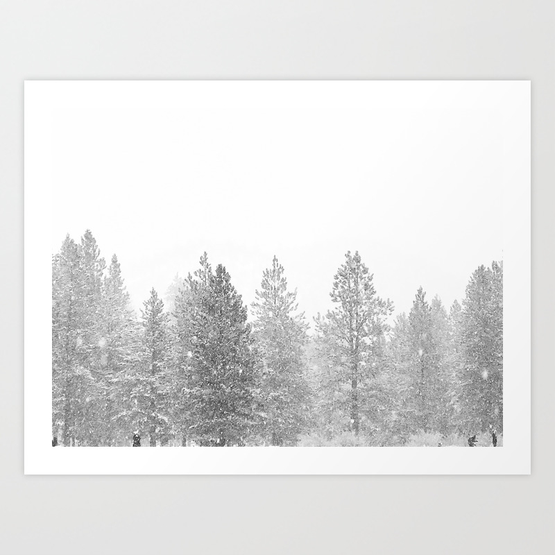Snow Day Black And White Winter Landscape Photography Snowing
