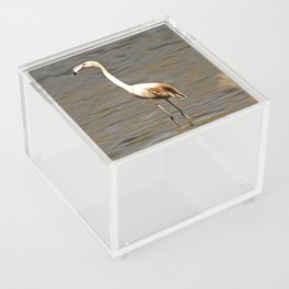 Perfection Takes Time Flamingo Fledgling Art Acrylic Box