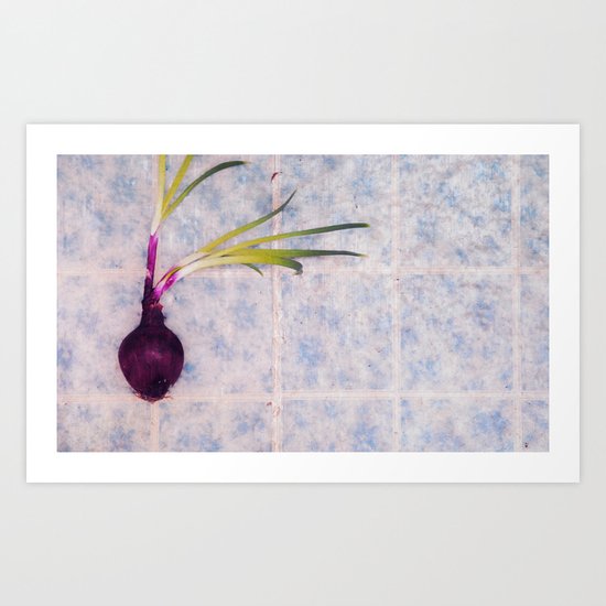 onion Art Print