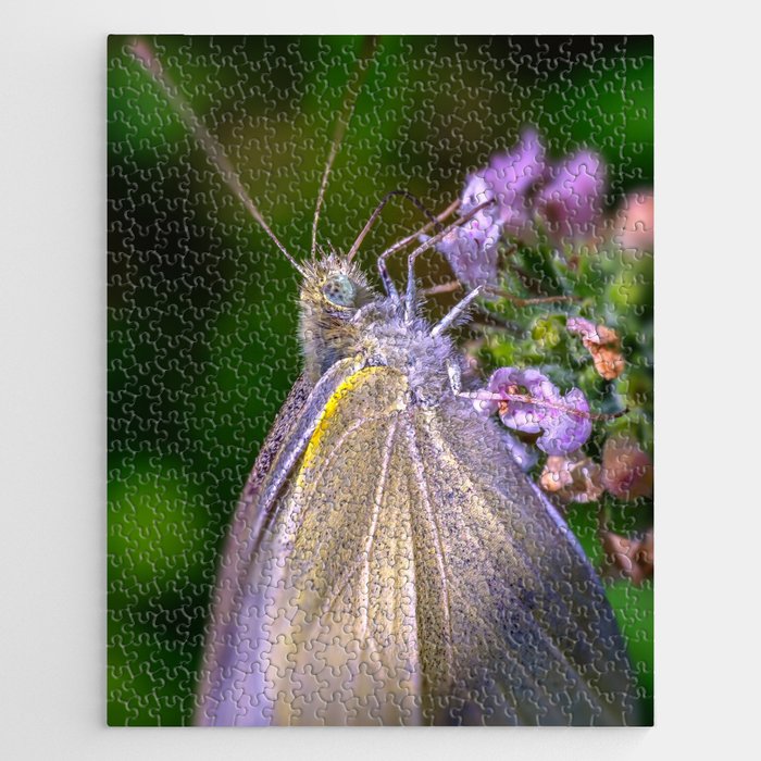 Cabbage White Butterfly, Macro Photograph Jigsaw Puzzle