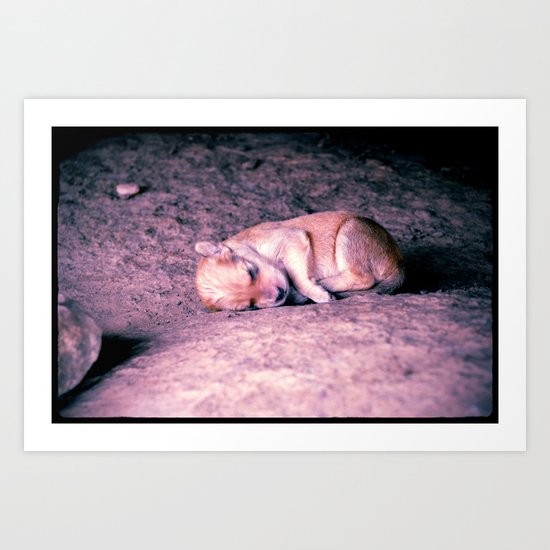 Youngest Dog Art Print
