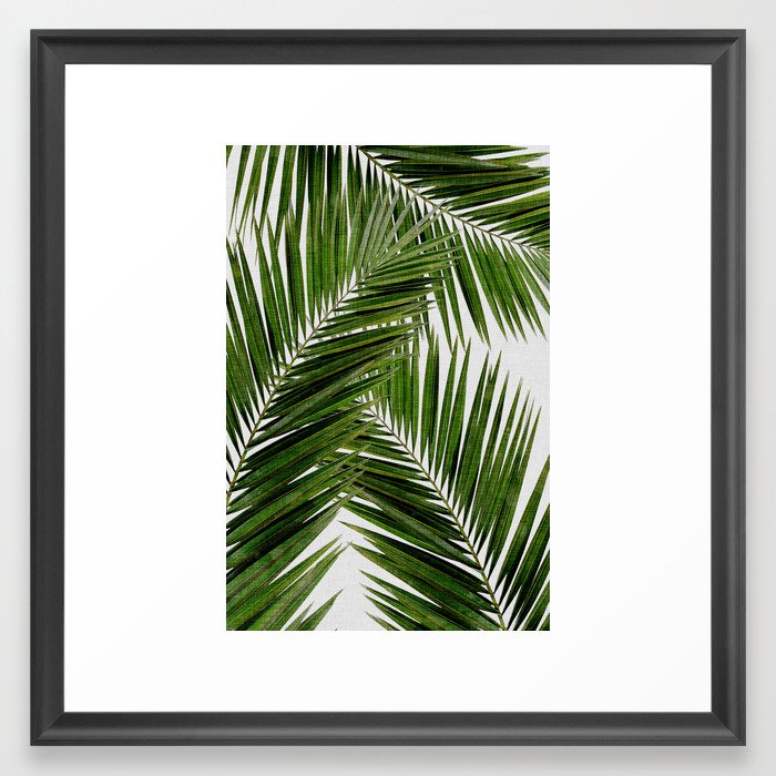 Palm Leaf III Framed Art Print