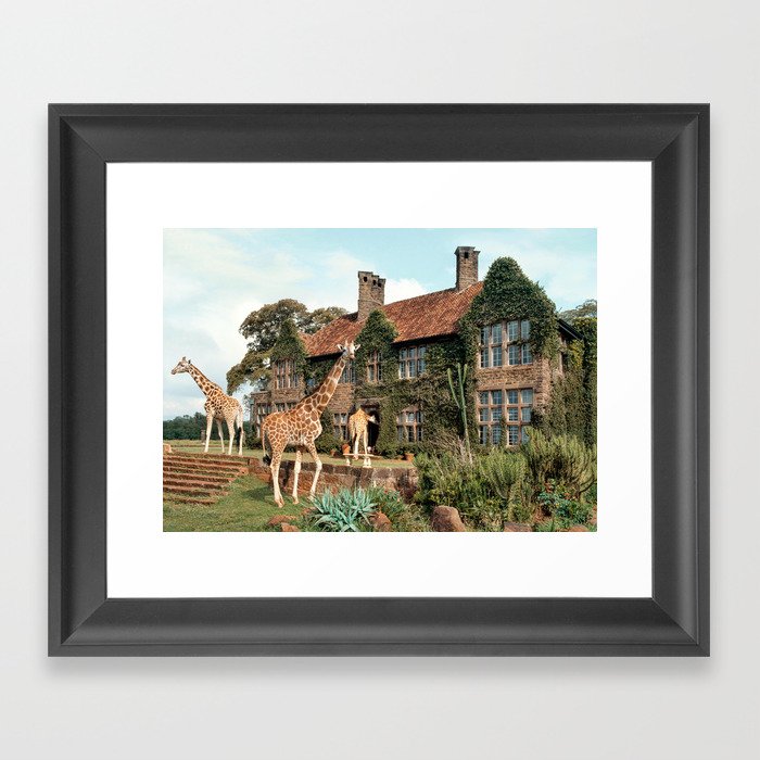 Giraffe Manor Framed Art Print